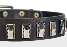 Ornament Dog Collar made of leather for Golden Retriever