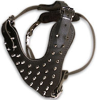Best Spike Golden retriever Harness Manufacturers
