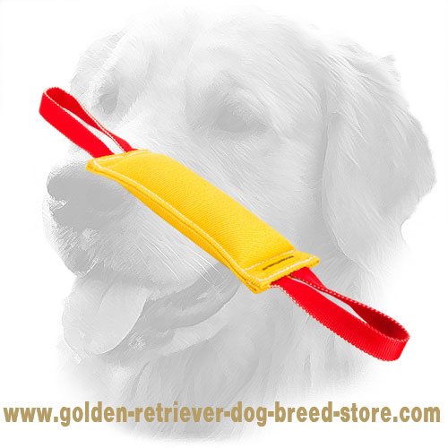 Extra Durable Golden Retriever Bite Tug with Two Handles