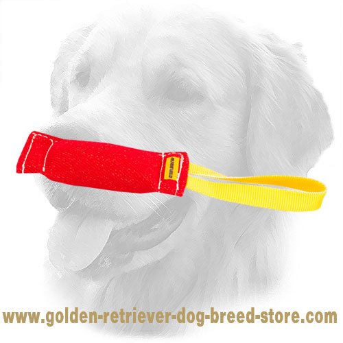 French Linen Golden Retriever Bite Tug with One Handle