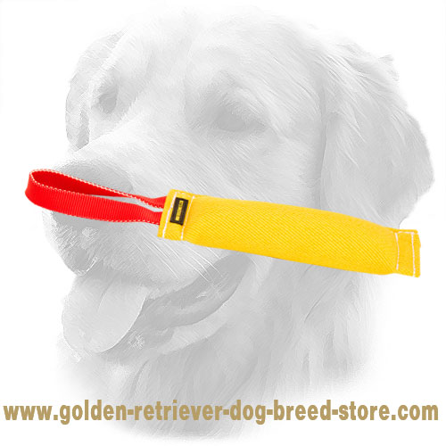 Synthetic Golden Retriever Bite Tug with One Handle