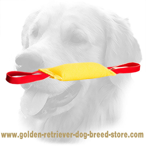 French Linen Golden Retriever Bite Tug for Retrieve Training