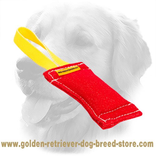 French Linen Golden Retriever Bite Tug for Young Dogs