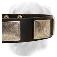 Decorated Leather Collar