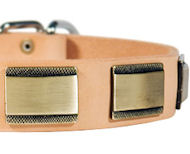 Designer Dog Collar for Golden Retriever-Leather Custom Collar