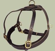 Padded Pulling Harness for Golden retriever-Leather Golden retri