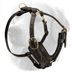 Stylish Leather Harness for Sporty Dogs