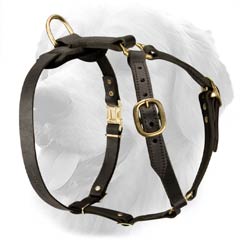 Stylish Leather Harness for Active Dogs
