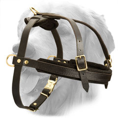 Leather Harness for Sporty Dogs