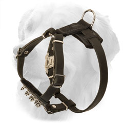 Leather Golden Retriever Harness for Puppies