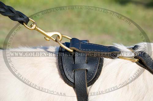 Durable Fittings on Leather Dog Harness