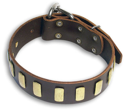 big dog breeds list. This collar will fit dogs with