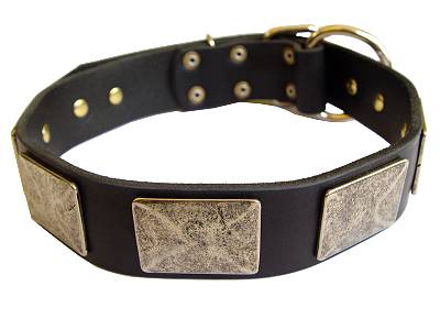 all wather leather dog collar for Golden Retriever  