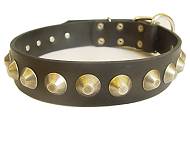 Gorgeous Wide Leather Dog Collar With Brass Pyramids Gorgeous Wide Leather Dog Collar With Brass Pyramids