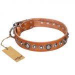 "Daily Chic" FDT Artisan Tan Leather Golden Retriever Collar with Decorations