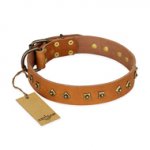 "Autumn Story" FDT Artisan Leather Golden Retriever Collar with Old Bronze Look Studs