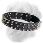 Golden Retriever Leather Collar with 3 Rows of Spikes