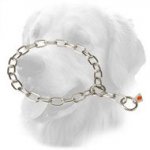 HS Stainless Steel Golden Retriever Fur Saver