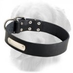 Classical Design Leather Collar with ID Tag