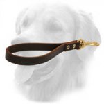 Golden Retriever Leather Leash Short