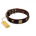 "Crazy Pirate" FDT Artisan Brown Leather Golden Retriever Collar with Old Bronze-Plated Skulls and Plates