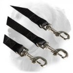 Triple Nylon Golden Retriever Coupler for Walking 3 Dogs