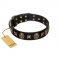 "Starry Saga" FDT Artisan Black Leather Golden Retriever Collar with Stars and Skulls