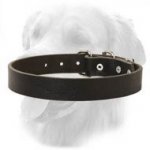 Simple Leather Collar for Walking And Training 30 mm