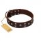 "Brown Shadow" Designer Handmade FDT Artisan Brown Leather Golden Retriever Collar