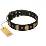 "Gilded Stones" FDT Artisan Black Leather Golden Retriever Collar with Old Bronze-like Ovals and Studs - 1 1/2 inch (40 mm) wide