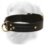 Gorgeous Wide 2 Ply Leather Golden Retriever Collar