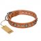 "Daily Chic" FDT Artisan Tan Leather Golden Retriever Collar with Decorations