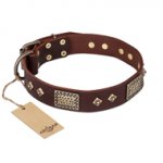 "Loving Owner" FDT Artisan Decorated Leather Golden Retriever Collar with Plates and Studs