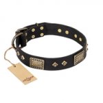 "Jewel Passion" FDT Artisan Fashionable Black Leather Golden Retriever Collar