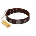"Flashy Woof" FDT Artisan Brown Leather Golden Retriever Collar with Chrome Plated Brooches