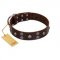 "Skull Valley" Handcrafted FDT Artisan Brown Leather Golden Retriever Collar with Skulls