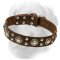 Attractive Design Leather Golden Retriever Collar with Studs