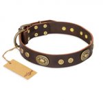 "One-of-a-Kind" FDT Artisan Handmade Decorated Brown Leather Golden Retriever Collar