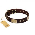 "Middle Age" FDT Artisan Brown Leather Golden Retriever Collar with Old Bronze-Plated Engraved Flowers and Large Plates