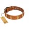 "Glossy Autumn" Designer Handmade FDT Artisan Tan Leather Golden Retriever Collar with Ovals and Studs