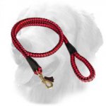 Golden Retriever Nylon Cord Leash 20 mm