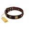 "Crazy Pirate" FDT Artisan Brown Leather Golden Retriever Collar with Old Bronze-Plated Skulls and Plates