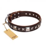 "Perfect Impression" FDT Artisan Brown Leather Golden Retriever Collar with Silvery Square Studs