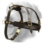 Tracking / Pulling Leather Dog Harness For Golden Retriever