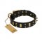 "Medieval Style" FDT Artisan Leather Golden Retriever Collar with Brass Plated Plates and Spikes