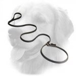 Fast Handling Leather Golden Retriever Choke Collar and Leash