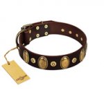 "Retro Pusle" FDT Artisan Brown Leather Golden Retriever Collar with Old Bronze-like Studs and Oval Brooches