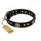 "High Fashion" FDT Artisan Studded with Plates Black Leather Golden Retriever Collar