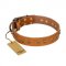 "Autumn Story" FDT Artisan Leather Golden Retriever Collar with Old Bronze Look Studs