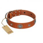 "Marine Antiques" Handmade FDT Artisan Tan Leather Golden Retriever Collar with Blue Stones